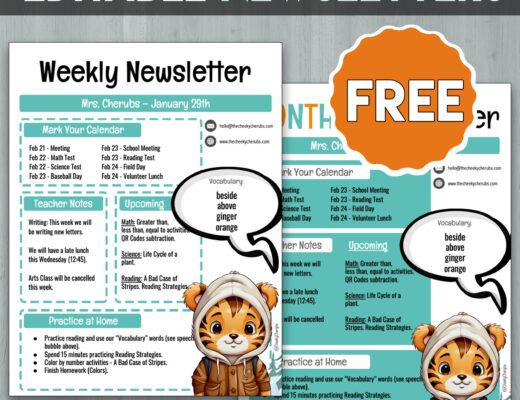 Classroom Newsletters TPT Freebie