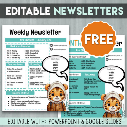 Classroom Newsletters TPT Freebie